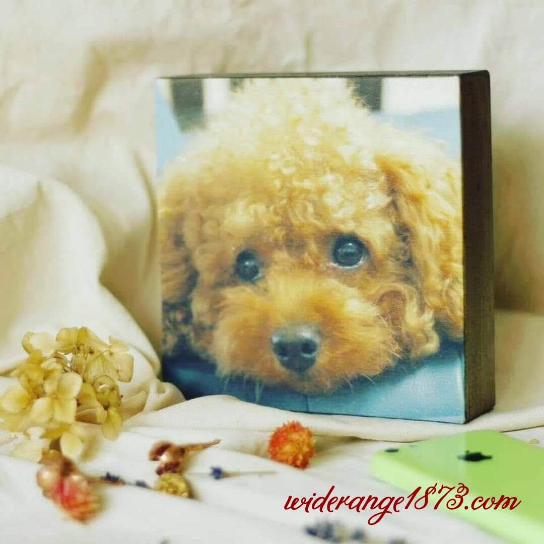 オシャレにお部屋を彩る!ファブリックフォトパネルづくり